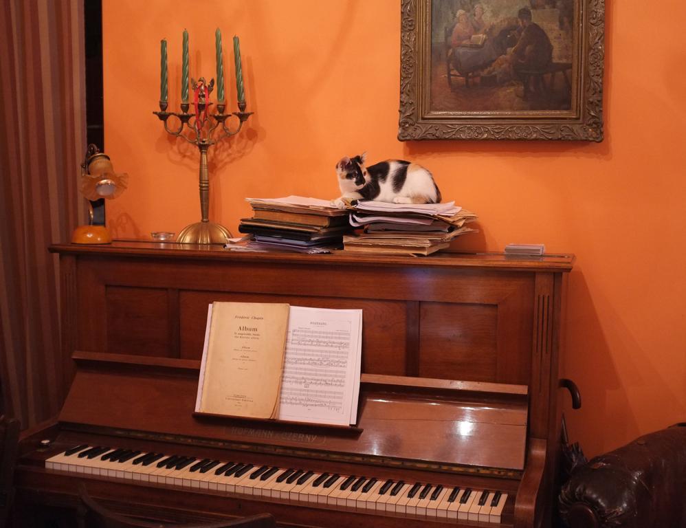 Piano Guest House クラクフ エクステリア 写真